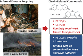 Graphical abstract: Environmental contamination and human exposure to dioxin-related compounds in e-waste recycling sites of developing countries
