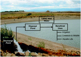 Graphical abstract: Potential beneficial uses of coalbed natural gas (CBNG) water