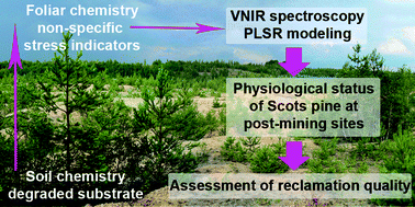 Graphical abstract: Detection of multiple stresses in Scots pine growing at post-mining sites using visible to near-infrared spectroscopy
