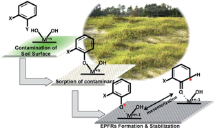 Graphical abstract: Assessment of environmentally persistent free radicals in soils and sediments from three Superfund sites