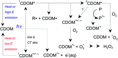 Graphical abstract: The importance of charge-transfer interactions in determining chromophoric dissolved organic matter (CDOM) optical and photochemical properties