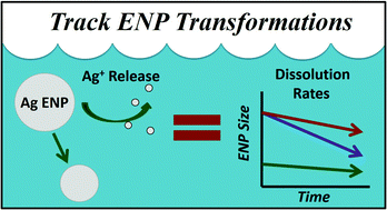 Graphical abstract: Tracking dissolution of silver nanoparticles at environmentally relevant concentrations in laboratory, natural, and processed waters using single particle ICP-MS (spICP-MS)