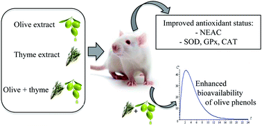 Graphical abstract: Effect of the co-occurring components from olive oil and thyme extracts on the antioxidant status and its bioavailability in an acute ingestion in rats
