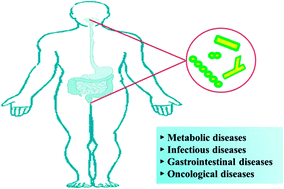 Graphical abstract: Probiotic actions on diseases: implications for therapeutic treatments