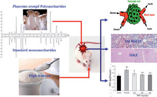 Graphical abstract: Chemical composition of Pleurotus eryngii polysaccharides and their inhibitory effects on high-fructose diet-induced insulin resistance and oxidative stress in mice