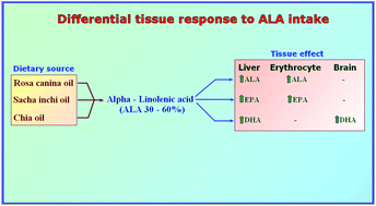 Graphical abstract: Alpha linolenic acid (ALA) from Rosa canina, sacha inchi and chia oils may increase ALA accretion and its conversion into n-3 LCPUFA in diverse tissues of the rat