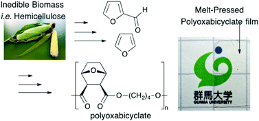 Graphical abstract: Synthesis and characterization of a renewable polyester containing oxabicyclic dicarboxylate derived from furfural