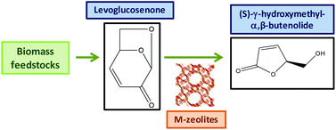 Graphical abstract: Metal-containing zeolites as efficient catalysts for the transformation of highly valuable chiral biomass-derived products