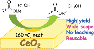 Graphical abstract: CeO2 as a versatile and reusable catalyst for transesterification of esters with alcohols under solvent-free conditions