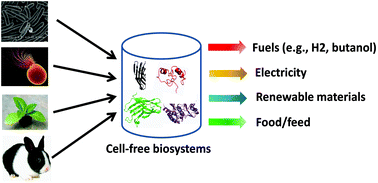 Graphical abstract: New biotechnology paradigm: cell-free biosystems for biomanufacturing