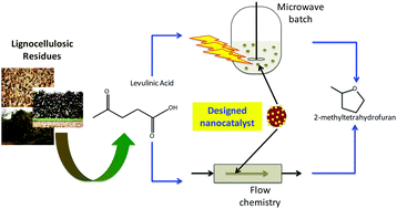 Graphical abstract: Continuous flow nanocatalysis: reaction pathways in the conversion of levulinic acid to valuable chemicals
