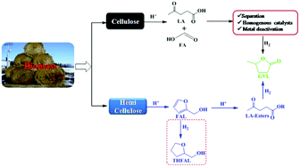 Graphical abstract: Single pot conversion of furfuryl alcohol to levulinic esters and γ-valerolactone in the presence of sulfonic acid functionalized ILs and metal catalysts