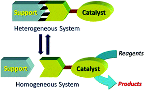 Graphical abstract: “Release and catch” catalytic systems