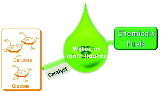Graphical abstract: Conversion of glucose and cellulose into value-added products in water and ionic liquids