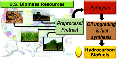 Graphical abstract: Biomass feedstocks for renewable fuel production: a review of the impacts of feedstock and pretreatment on the yield and product distribution of fast pyrolysis bio-oils and vapors