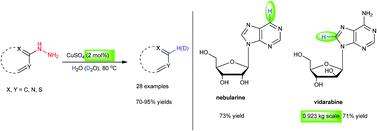 Graphical abstract: Efficient synthesis of nebularine and vidarabine via dehydrazination of (hetero)aromatics catalyzed by CuSO4 in water