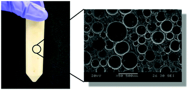 Graphical abstract: Tailored for simplicity: creating high porosity, high performance bio-based macroporous polymers from foam templates