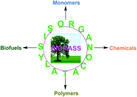 Graphical abstract: Organocatalysis in biorefining for biomass conversion and upgrading