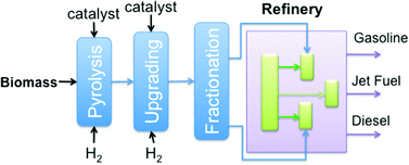 Graphical abstract: A perspective on oxygenated species in the refinery integration of pyrolysis oil