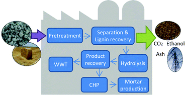 Graphical abstract: Co-production of biorefinery products from kraft paper sludge and agricultural residues: opportunities and challenges