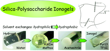 Graphical abstract: Biopolymer based nanocomposite ionogels: high performance, sustainable and solid electrolytes