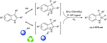 Graphical abstract: Asymmetric hydrogenation of unprotected indoles using iridium complexes derived from P–OP ligands and (reusable) Brønsted acids