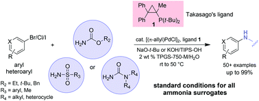 Graphical abstract: Installation of protected ammonia equivalents onto aromatic & heteroaromatic rings in water enabled by micellar catalysis