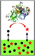 Graphical abstract: Enhanced laccase stability through mediator partitioning into hydrophobic ionic liquids