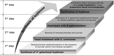 Graphical abstract: A sustainable biotechnological process for the efficient synthesis of kojibiose