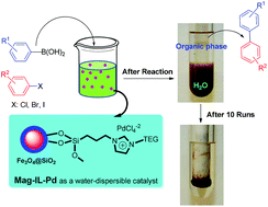 Graphical abstract: A highly water-dispersible/magnetically separable palladium catalyst based on a Fe3O4@SiO2 anchored TEG-imidazolium ionic liquid for the Suzuki–Miyaura coupling reaction in water