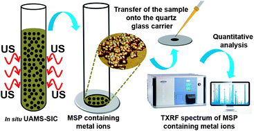 Graphical abstract: In situ ultrasound-assisted synthesis of Fe3O4 nanoparticles with simultaneous ion co-precipitation for multielemental analysis of natural waters by total reflection X-ray fluorescence spectrometry