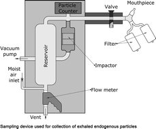 Graphical abstract: Analysis of manganese and iron in exhaled endogenous particles