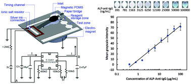 Graphical abstract: Magnetic timing valves for fluid control in paper-based microfluidics