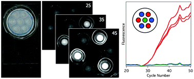 Graphical abstract: A microfluidic chip integrating DNA extraction and real-time PCR for the detection of bacteria in saliva