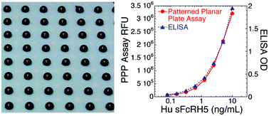 Graphical abstract: Micro-volume wall-less immunoassays using patterned planar plates