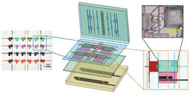 Graphical abstract: A Microfluidic Platform for Evaporation-based Salt Screening of Pharmaceutical Parent compounds