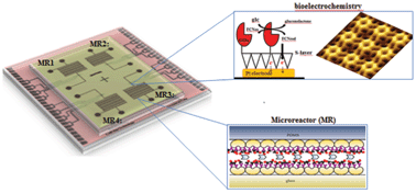 Graphical abstract: Nanobiotechnology advanced antifouling surfaces for the continuous electrochemical monitoring of glucose in whole blood using a lab-on-a-chip