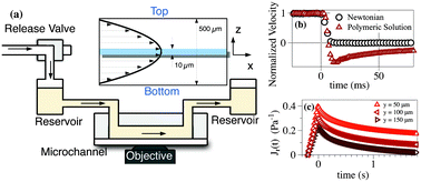 Graphical abstract: Measuring material relaxation and creep recovery in a microfluidic device