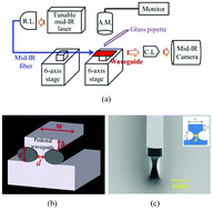 Graphical abstract: Chip-scale Mid-Infrared chemical sensors using air-clad pedestal silicon waveguides