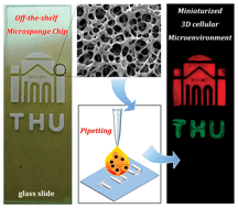 Graphical abstract: Off-the-shelf microsponge arrays for facile and efficient construction of miniaturized 3D cellular microenvironments for versatile cell-based assays