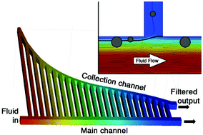 Graphical abstract: A scalable approach for high throughput branch flow filtration