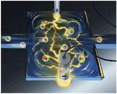 Graphical abstract: Sequential multi-molecule delivery using vortex-assisted electroporation