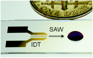 Graphical abstract: Surface acoustic wave microfluidics