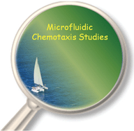 Graphical abstract: Recent developments in microfluidics-based chemotaxis studies
