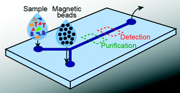 Graphical abstract: Ultrasensitive protein detection: a case for microfluidic magnetic bead-based assays