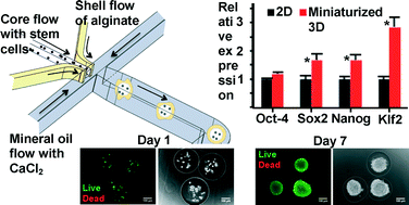Graphical abstract: One-step microfluidic generation of pre-hatching embryo-like core–shell microcapsules for miniaturized 3D culture of pluripotent stem cells