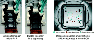 Graphical abstract: Active liquid degassing in microfluidic systems