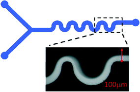 Graphical abstract: Serpentine channels: micro-rheometers for fluid relaxation times