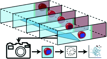 Graphical abstract: Continuous-flow cytomorphological staining and analysis