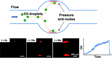 Graphical abstract: Microfluidic acoustophoretic force based low-concentration oil separation and detection from the environment